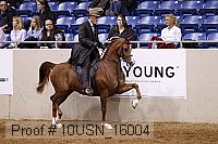 10usn_16004 thumbnail