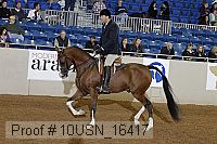 10usn_16417 thumbnail