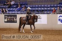 10usn_00597 thumbnail