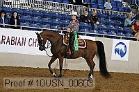 10usn_00603 thumbnail