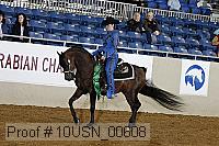 10usn_00608 thumbnail