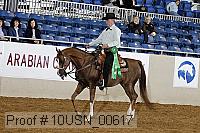10usn_00617 thumbnail