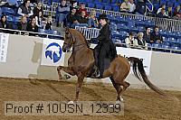 10usn_12339 thumbnail