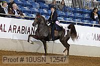 10usn_12547 thumbnail
