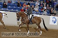 10usn_00969 thumbnail
