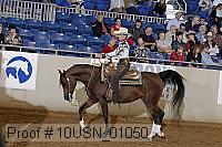 10usn_01050 thumbnail