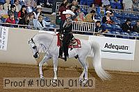 10usn_01120 thumbnail