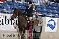 10usn_12121 thumbnail