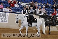 10usn_02146 thumbnail