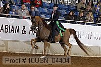 10usn_04404 thumbnail