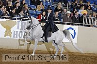10usn_20046 thumbnail