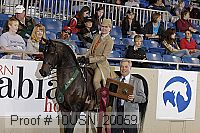 10usn_20059 thumbnail