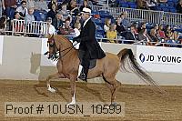 10usn_10599 thumbnail
