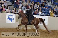 10usn_10602 thumbnail
