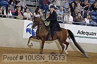 10usn_10613 thumbnail