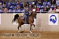 10usn_10628 thumbnail