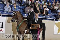 10usn_10631 thumbnail