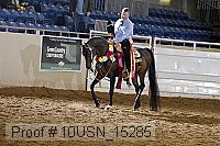 10usn_15285 thumbnail