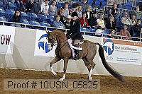 10usn_05825 thumbnail