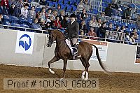 10usn_05828 thumbnail
