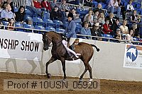 10usn_05920 thumbnail
