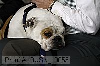 10usn_10053 thumbnail