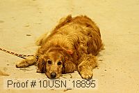 10usn_18895 thumbnail