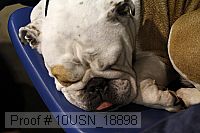 10usn_18898 thumbnail