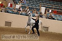 10yn-19928 thumbnail