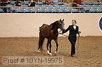 10yn-19975 thumbnail