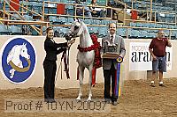 10yn-20097 thumbnail