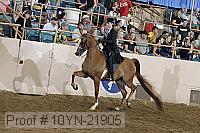 10yn-21905 thumbnail
