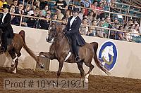 10yn-21921 thumbnail