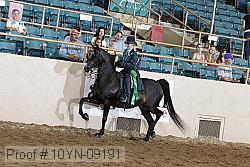 10yn-09191 thumbnail