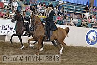 10yn-13843 thumbnail