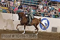 10yn-13845 thumbnail