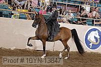 10yn-13847 thumbnail