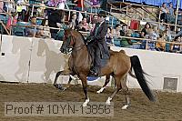 10yn-13856 thumbnail