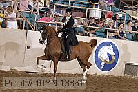 10yn-13861 thumbnail