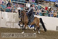10yn-13863 thumbnail
