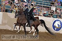 10yn-13866 thumbnail