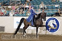 10yn-13874 thumbnail