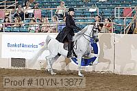 10yn-13877 thumbnail