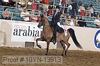 10yn-13913 thumbnail