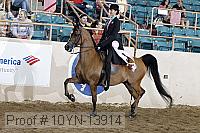 10yn-13914 thumbnail