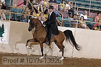 10yn-13920 thumbnail