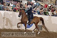 10yn-13927 thumbnail