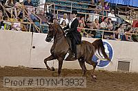 10yn-13932 thumbnail