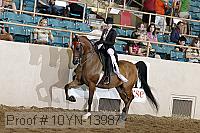 10yn-13987 thumbnail
