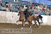 10yn-02689 thumbnail